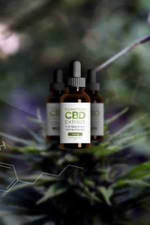 Marijuana to Hemp CBD Boom